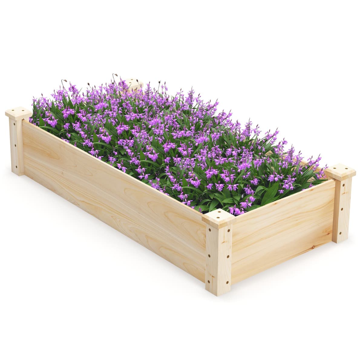 Comparatif des meilleures serres de jardin en 2026