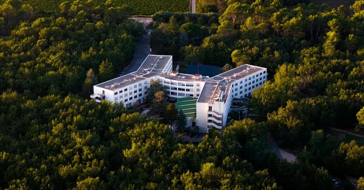 Los Mejores Hoteles para Familias: Aventura y Diversión