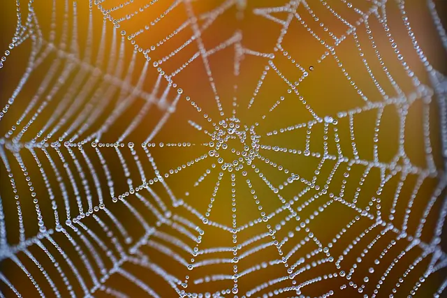 Mejores cámaras web 4K: Guía de compra 2026