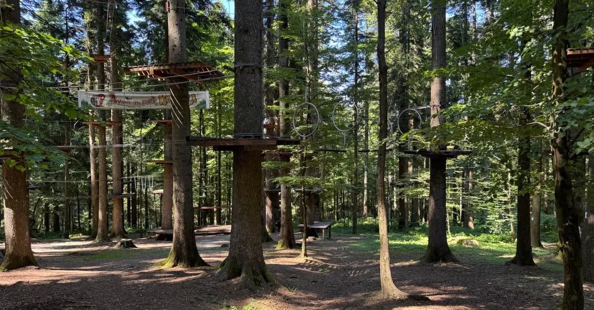 Les Meilleures Courses en Forêt : Guide d'Achat Complet