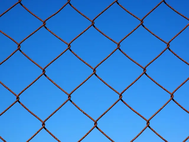 Zukunftstrends Mesh WLAN: Kaufberatung und Produkte