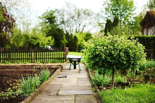 Comparatif Bennes Agricoles : Guide d'Achat Complet