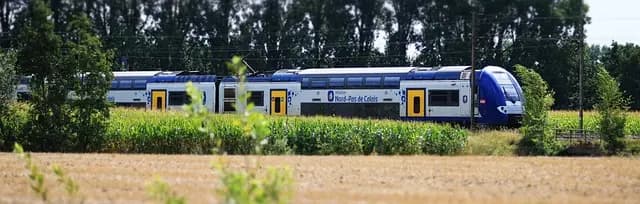 Options de transport funéraire : Guide d'achat complet