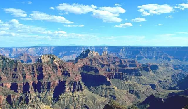 Guide d'achat des semoirs pour grands terrains
