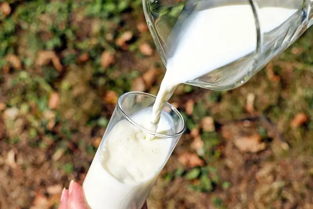 Optimisez votre nutrition avant un marathon