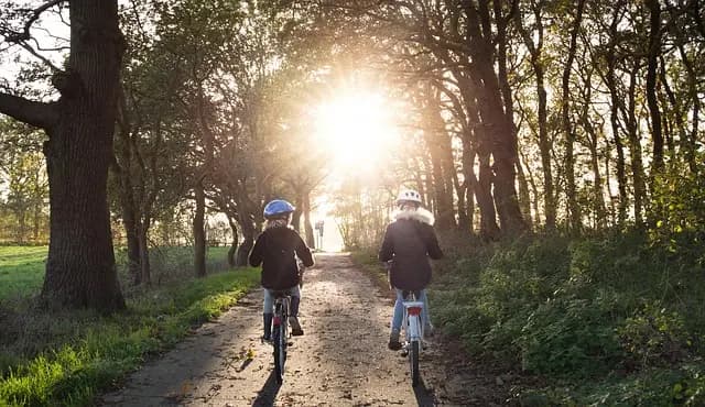 Guide d'achat : choisir le meilleur vélo de course