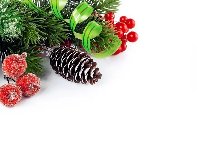Guida alle Decorazioni Natalizie Fai-da-Te