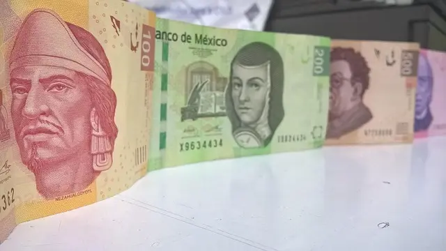 Guía de compra para una pérdida de peso saludable