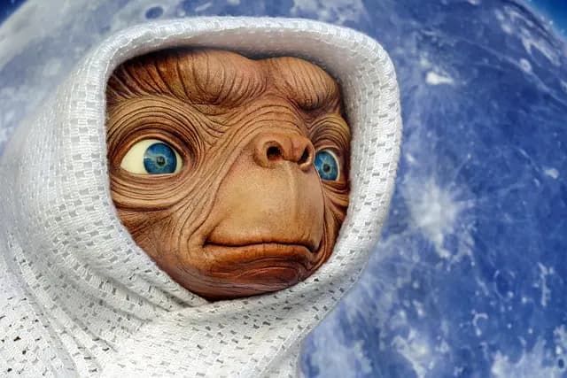 Clôture Électrique pour Animaux : Guide d'Achat Complet