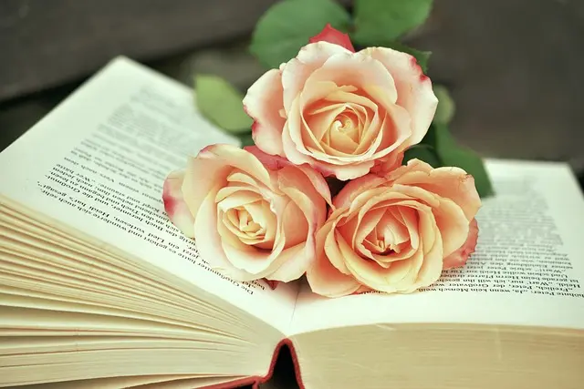 Best Self-Improvement Books for Personal Growth