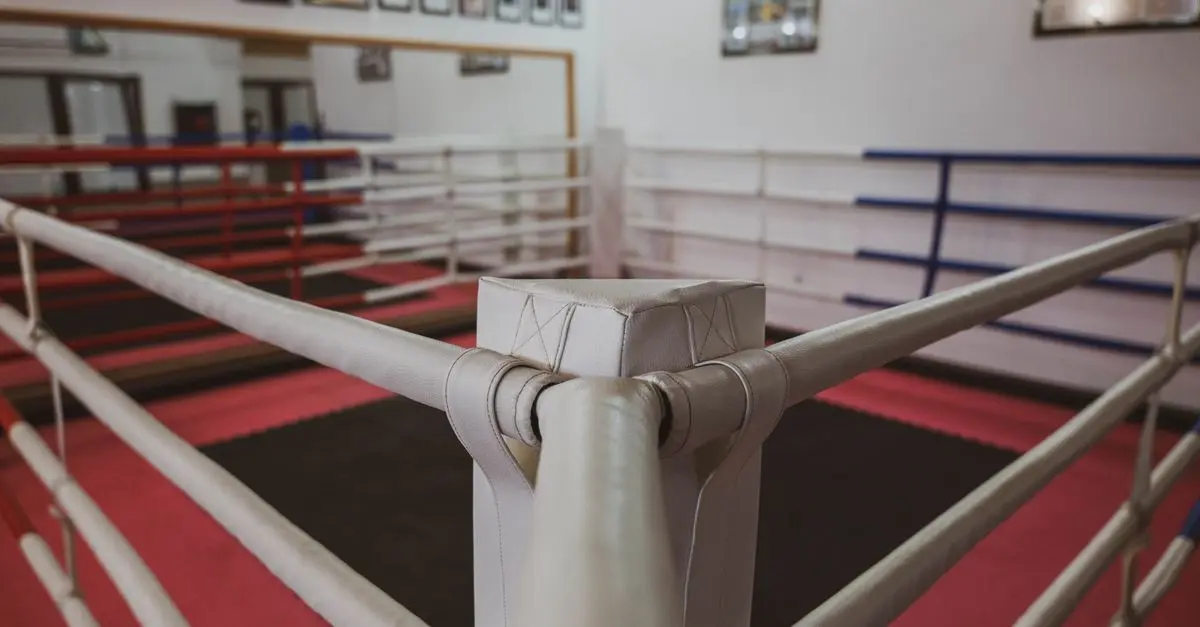 Les Magasins de Stores pour Salles de Boxe avec le Meilleur Rapport Qualité-Prix