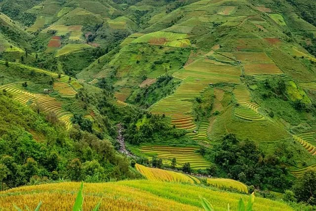 Matériel de Plantation Agricole : Guide d'Achat Complet