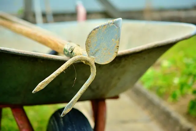 Migliori attrezzature per il giardinaggio urbano