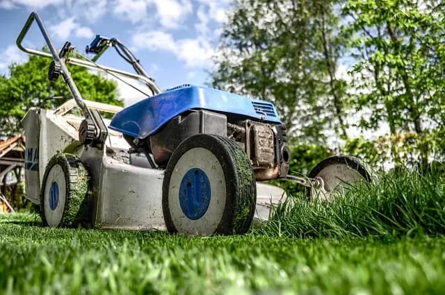 Top Gardening Tools Discounts this Black Friday