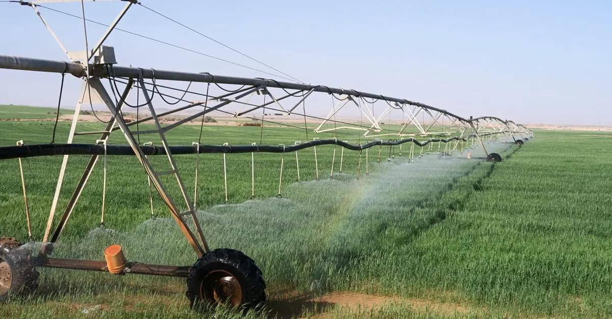Guide d'Achat : Types d'Équipement d'Irrigation
