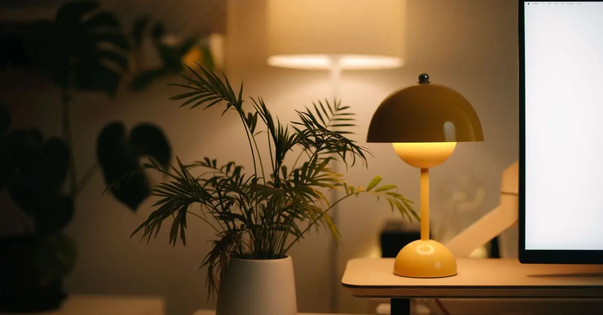 Best Indoor Lighting for Every Room