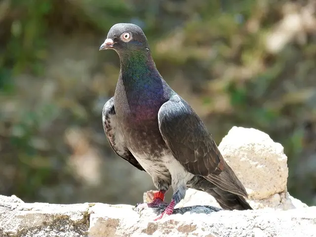 Vols classe affaires confort : Guide d'achat expert